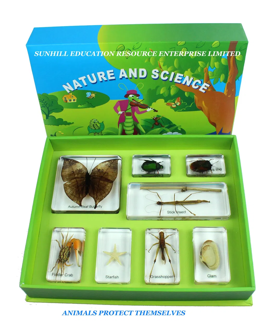 Children Toy, Nursery School Educationa Science Learning Toy, Kids Classroom Educationteaching Specimen for Kindergarten and Preschool