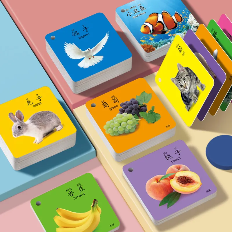 Custom Chinese Fun Dinosaur Early Machine Fabric Phonics Flash Card Learning with Card