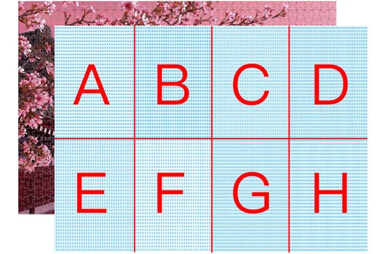 Customized Educational Flash Learning Cards Printing Story Cards