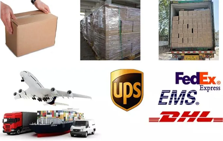 Customized Educational Flash Learning Cards Printing Story Cards