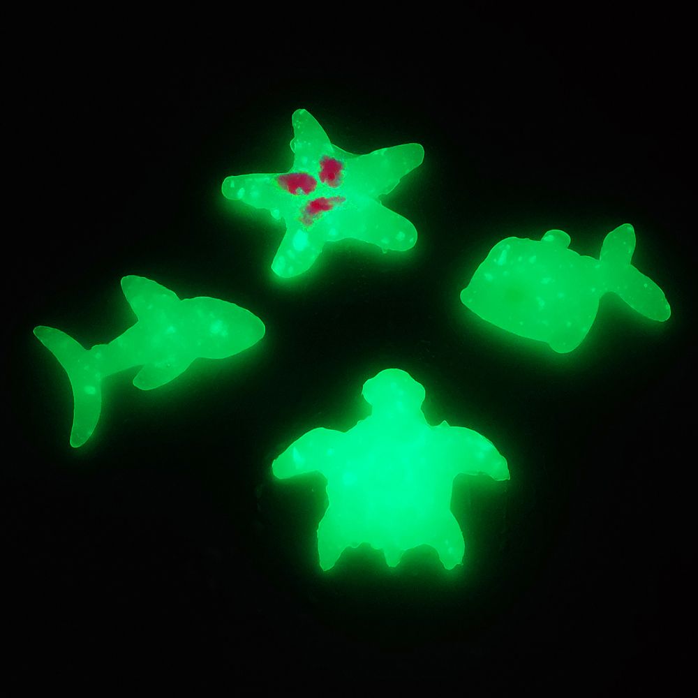 Magic Water Elf DIY Stem Science Kid Toy Hotsale Toy