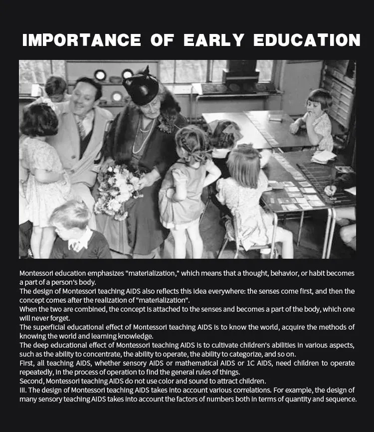 Montessori Learning Materials Wooden Small Moveable Alphabet Language Objects with Box