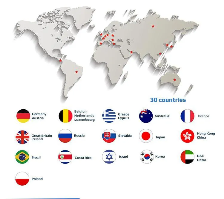 New Design Garden Vegetables Wooden Kitchen Toy for Children