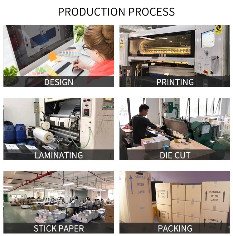 Puzzle Puzzle Early Education 3 Years Old Plus