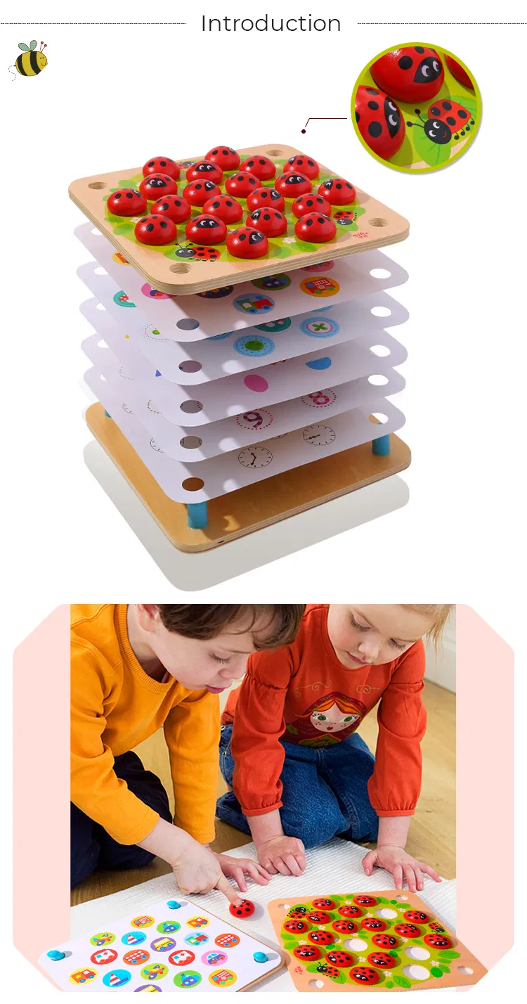 Wholesale Wooden Sensorial Montessori Material Product Educational Toys for Kids