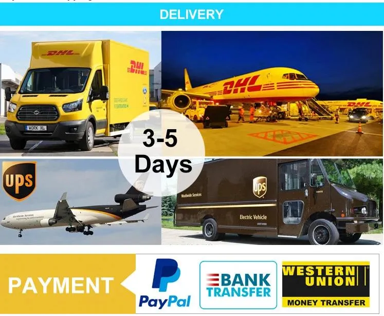 Young Child Gifts Fat Brain Baby Grasping Practice Simple Dimple Spinner Pictures & Photosearly Learning Gifts Fat Brain Baby Grasping Practice Simple Dimp